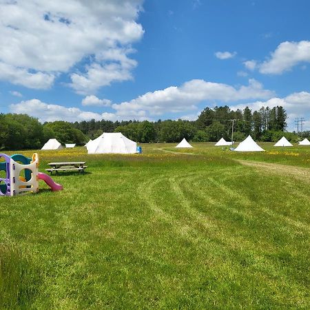 فندق Dorset Glamping Fields Corfe Mullen المظهر الخارجي الصورة