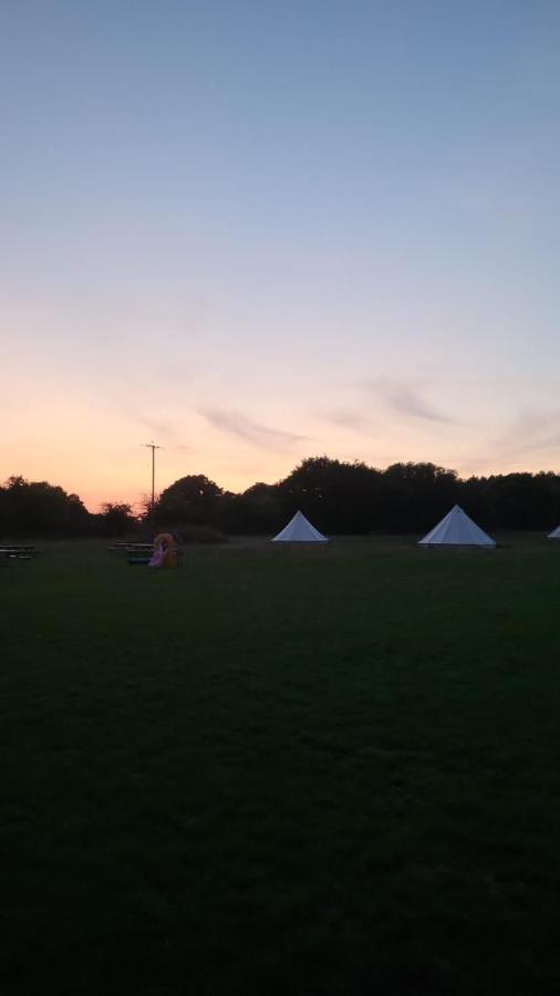 فندق Dorset Glamping Fields Corfe Mullen المظهر الخارجي الصورة