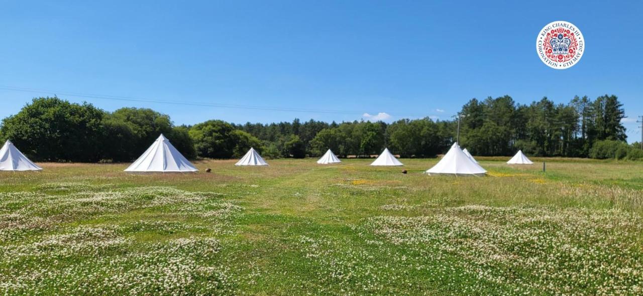 فندق Dorset Glamping Fields Corfe Mullen المظهر الخارجي الصورة