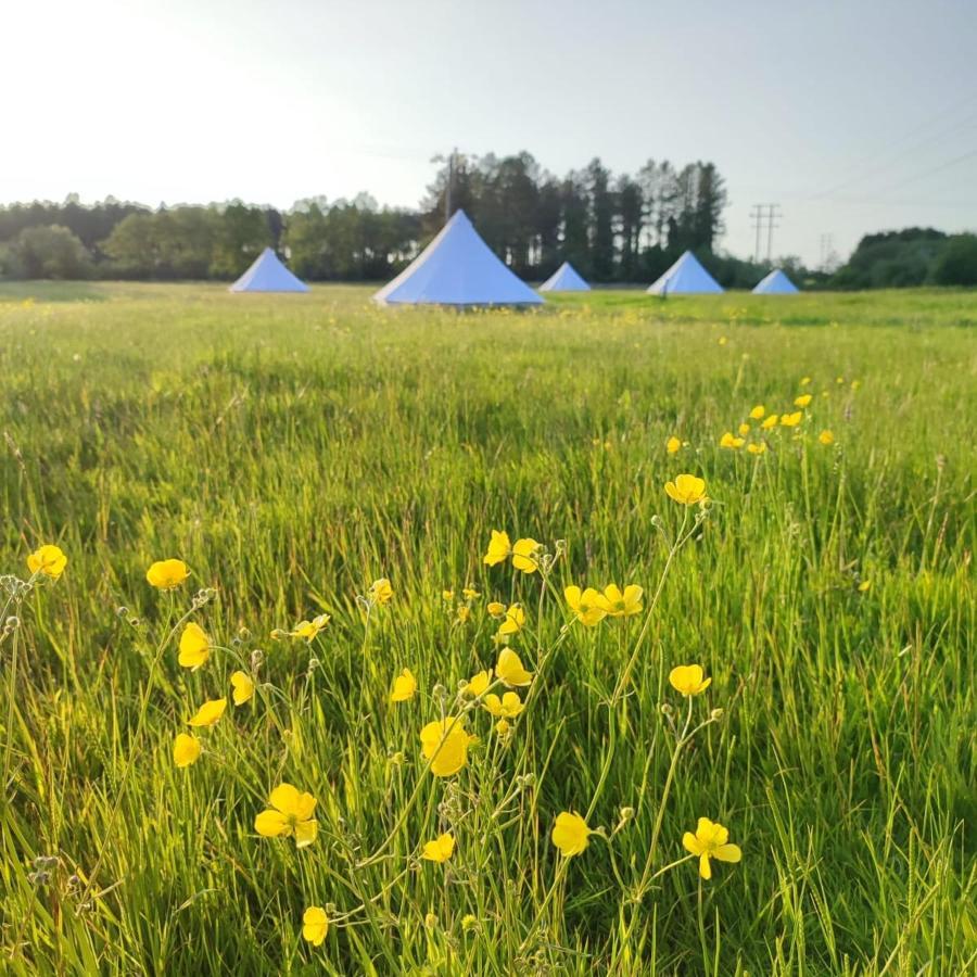 فندق Dorset Glamping Fields Corfe Mullen المظهر الخارجي الصورة